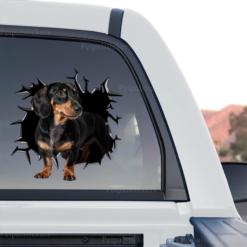 Cute Dachshund graphic decal showcasing the standalone product design on transparent film.