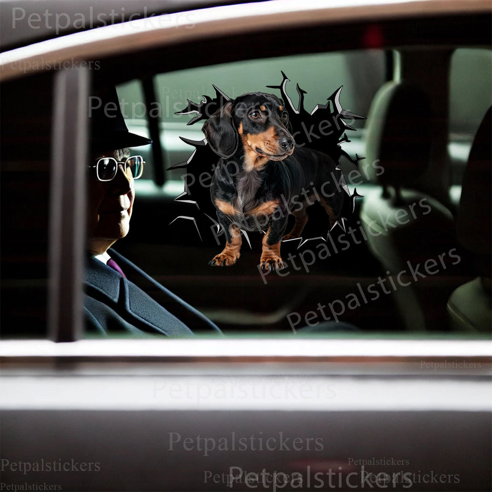 Glossy Dachshund dog decal smoothly applied on a car door exterior.