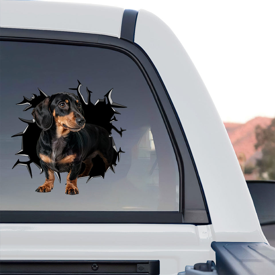 Vibrant Dachshund pet sticker displayed on the rear window of a truck.