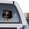 Vibrant Dachshund pet sticker displayed on the rear window of a truck.