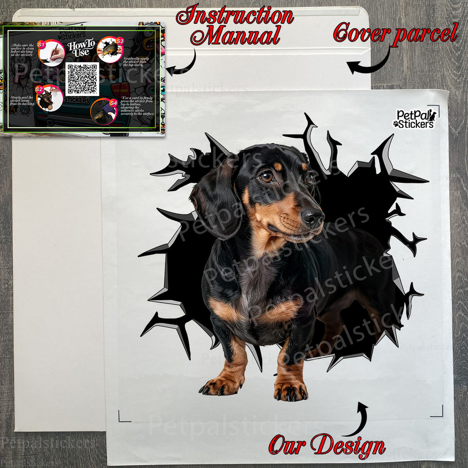 Unboxed Dachshund vinyl decal presented alongside its protective package.