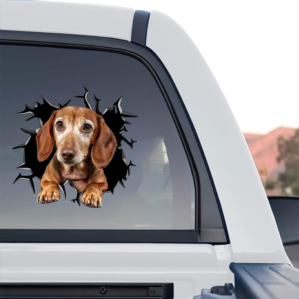 Vibrant Dachshund sticker displayed on the tinted back window of a truck outdoors.