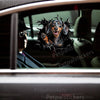 Cute Dachshund waving paw decal placed seamlessly on a glossy car door exterior.