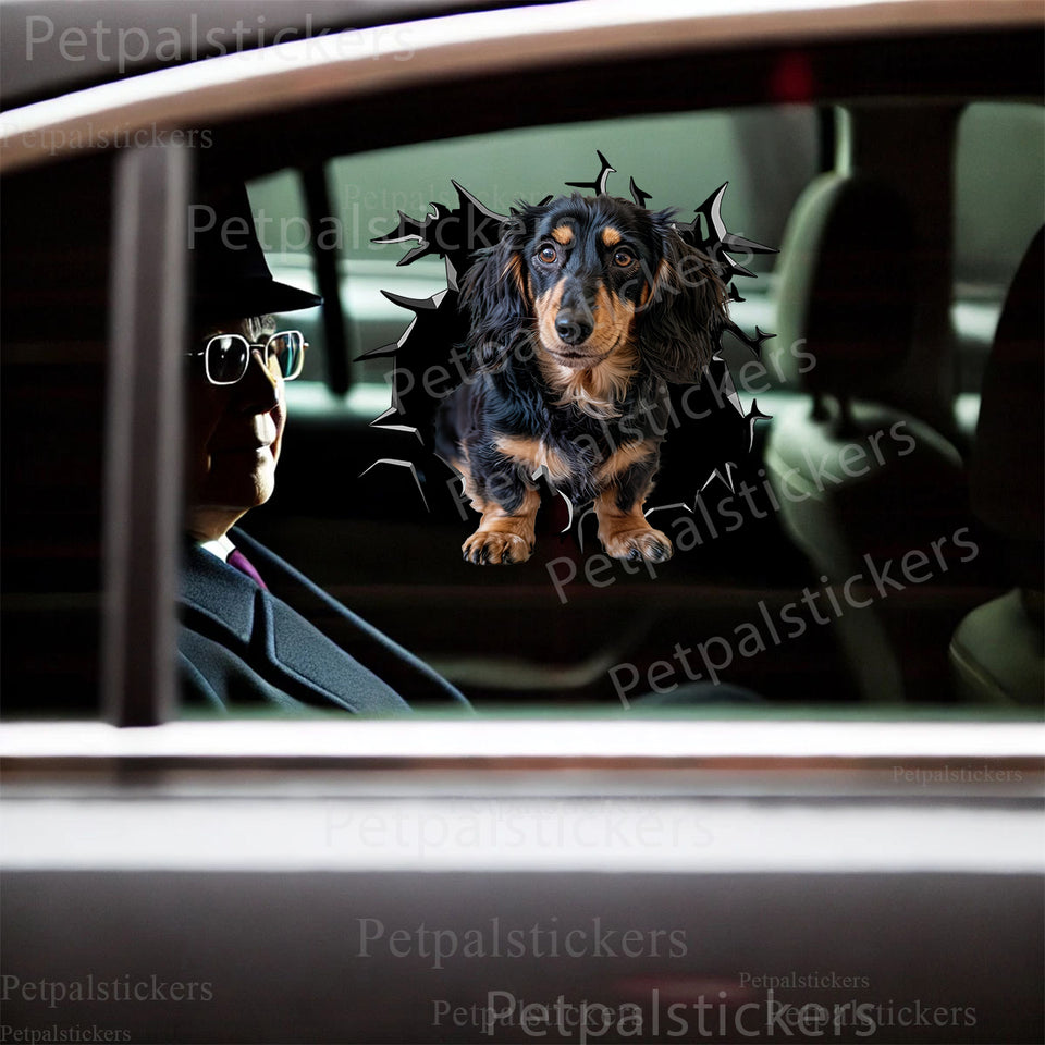 Adorable wiener dog graphic applied smoothly onto a white car door surface.