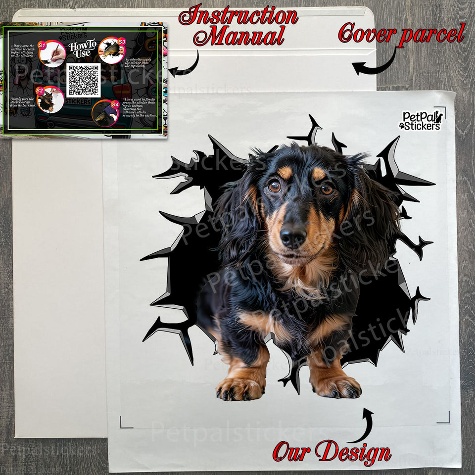 Carefully wrapped Dachshund decal showing included application instructions and package.