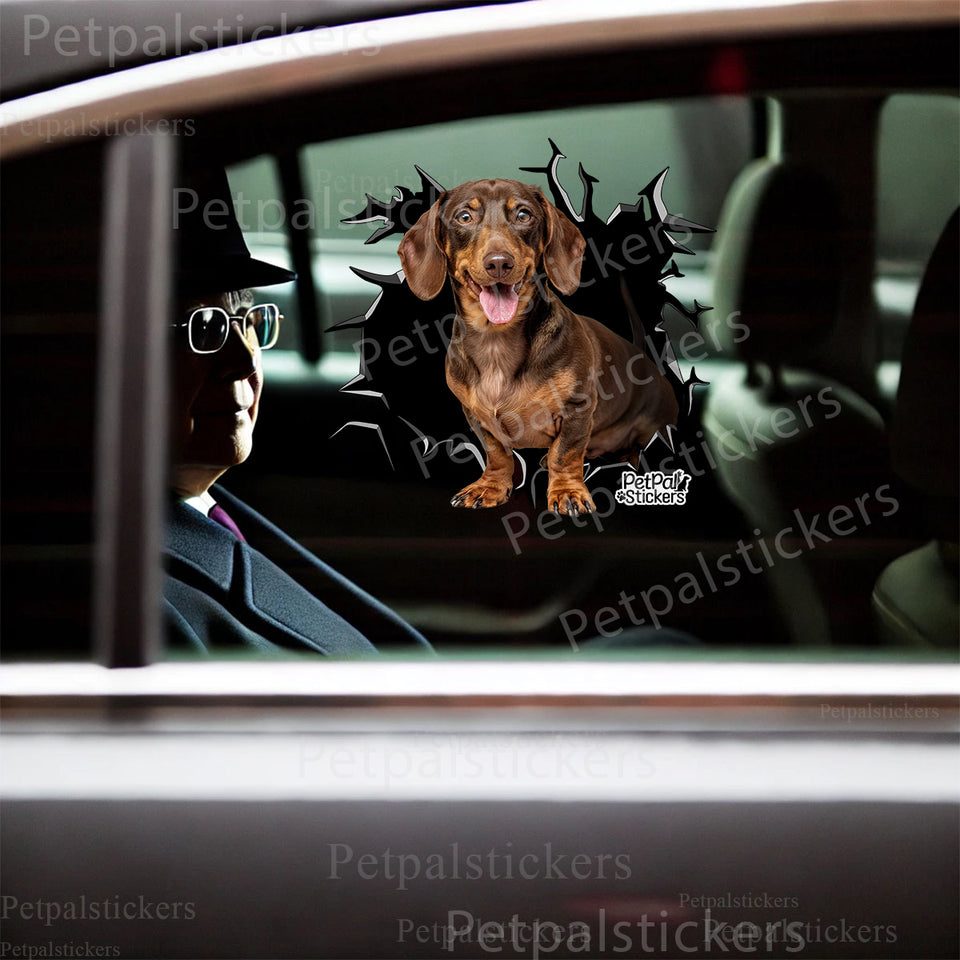 Glossy Dachshund graphic sticker seamlessly placed on a sleek white car door.