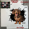 Secure retail package showcasing the premium clear Dachshund graphic decal inside.
