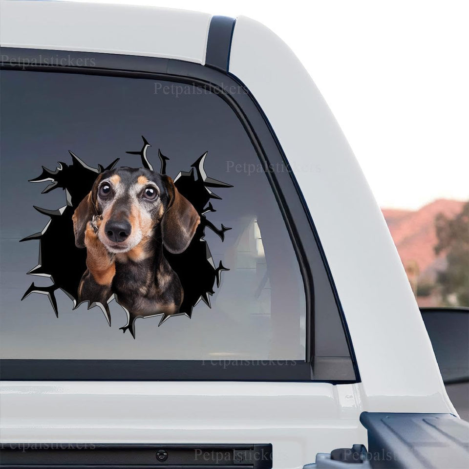 Dachshund graphic decal standalone product design showcasing vibrant outdoor inks.