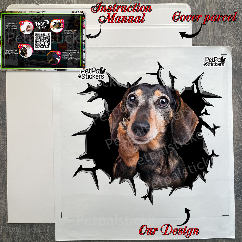 Clear protective package containing the Dachshund decal and application guide.