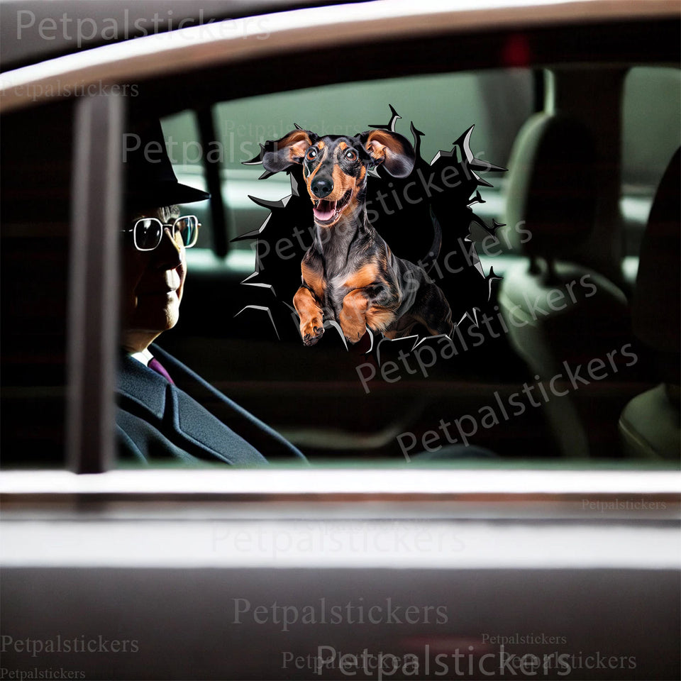 Humorous Dachshund cracked glass sticker placed neatly onto a smooth car door surface.