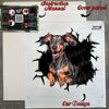 Delivered product decal sheet and instructions inside the retail package ready for application.