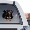 Charming Dachshund dog sticker displayed proudly on the back window of a truck.