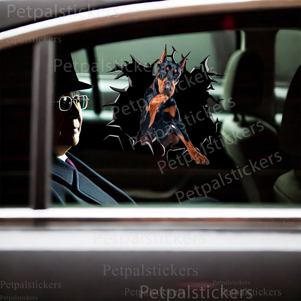 Vibrant Doberman Pinscher graphic sticker applied neatly to a dark car door.