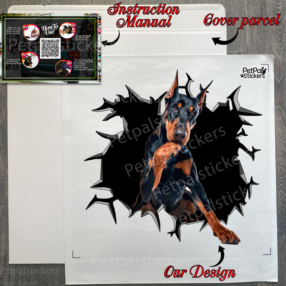 Protective packaging and decal package with clear instructions for easy application.