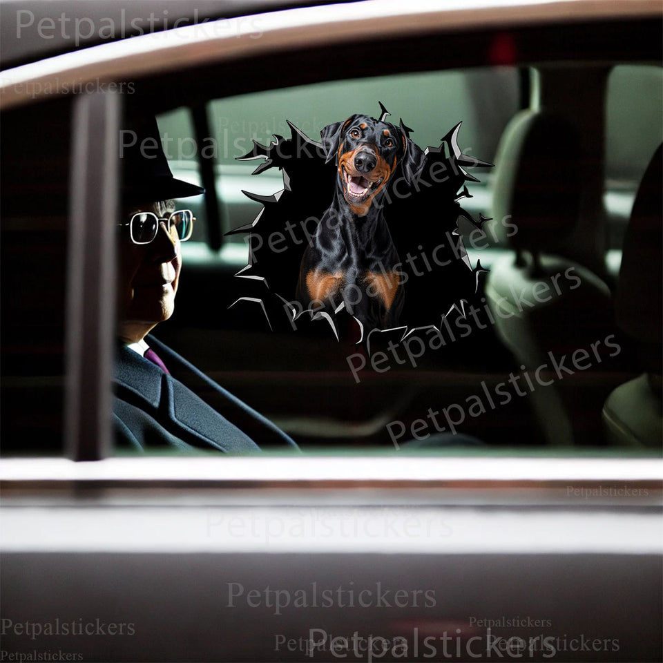 Doberman Pinscher graphic decal cleanly displayed on the exterior car door surface.