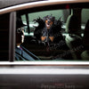 Doberman Pinscher graphic decal cleanly displayed on the exterior car door surface.