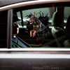 Realistic Doberman Pinscher sticker displayed on a clean car door exterior.