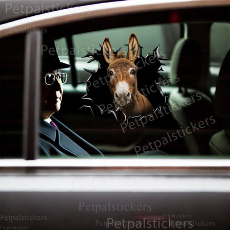 Fun Donkey vinyl decal applied carefully onto a clean ceramic toilet tank lid.