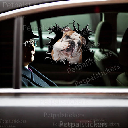 Humorous English Bulldog vinyl graphic applied onto a white ceramic toilet lid.