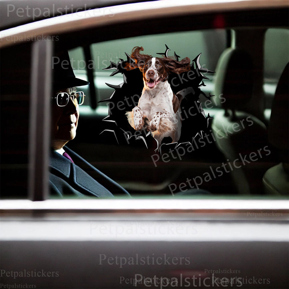 Vibrant English Springer Spaniel vinyl sticker applied neatly onto a car door.