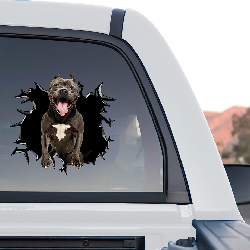 High-grade For Pitbulls window decal displayed on the back glass of a truck.
