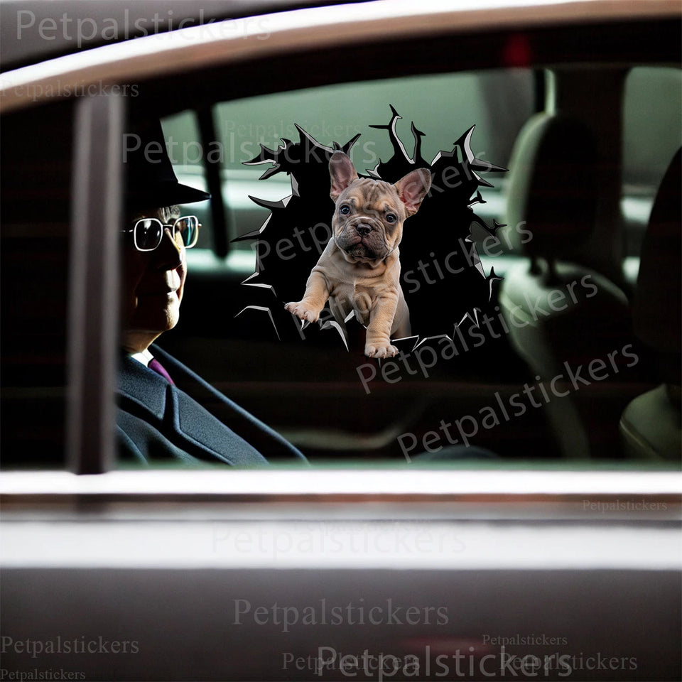 French Bulldog vinyl decal applied cleanly to the exterior of a white car door.