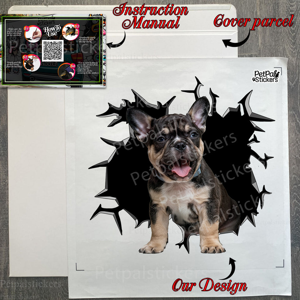 Secure protective package envelope containing the French vinyl decal and instructions.