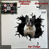 Unboxed Frenchie graphic decal ready for application alongside its secure package.
