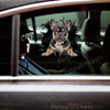 Cute Frenchie window decal displayed prominently on a white car door surface.