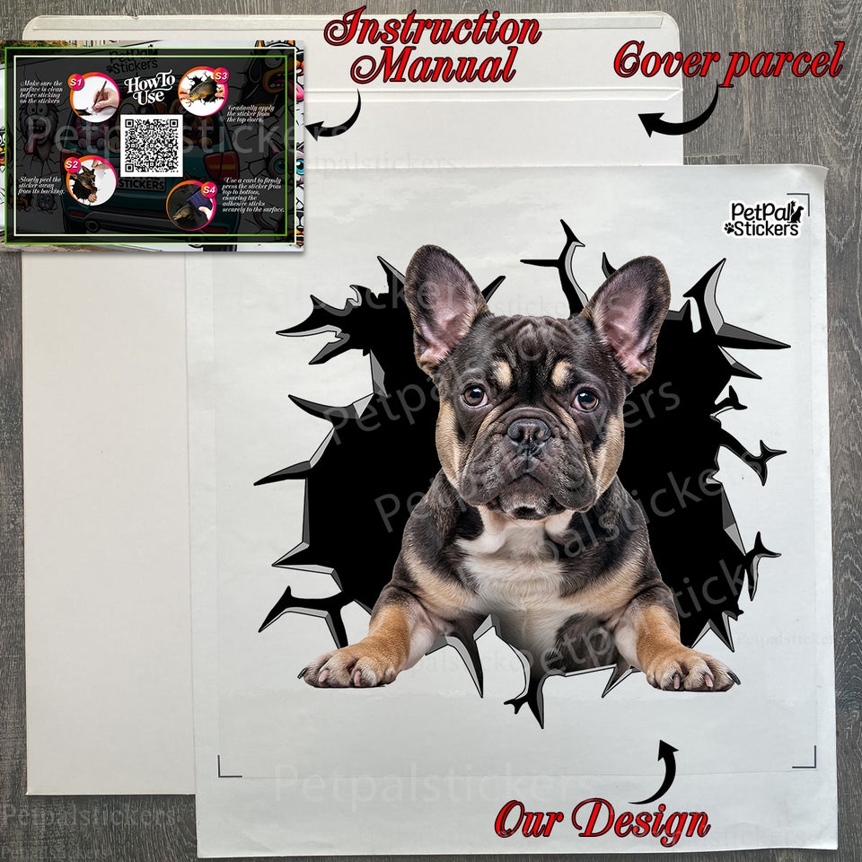 Unopened Frenchie decal package showing clear protective wrapping and instructions.