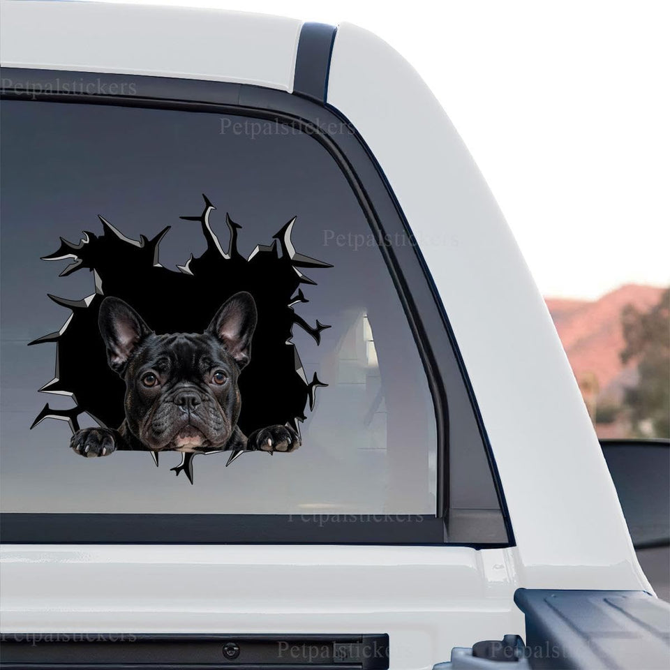 Crisp Frenchie graphic sticker featuring a standalone product design on clear gloss vinyl.