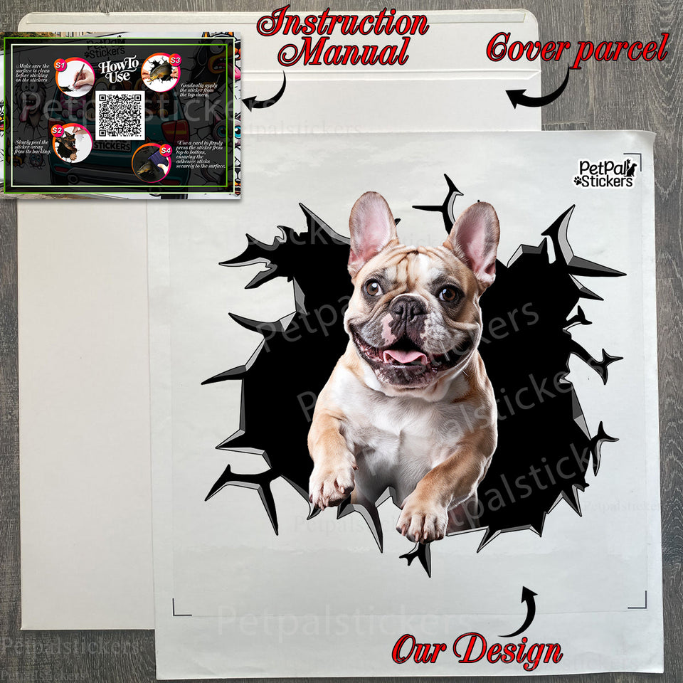 Secure product package containing the Frenchie vinyl decal and application guide.