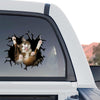 Realistic cat graphic sticker displayed on the rear window of a truck outdoors.