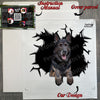 Protective delivery package containing the German Shepard car decal and guide.