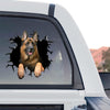 Standalone product design showing a German Shepherd graphic decal on clear gloss vinyl.