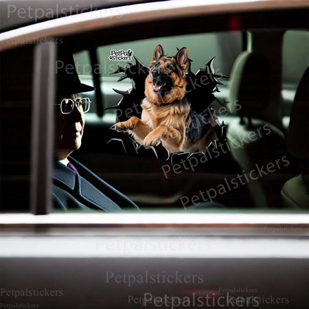 Humorous German Shepherd peek decal applied cleanly to the smooth lid of a bathroom toilet.