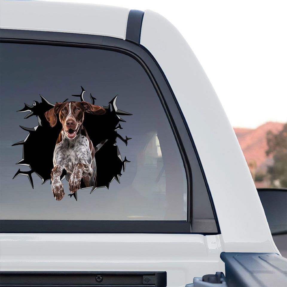 Exterior vehicle window of a truck decorated with a detailed German Shorthaired Pointer vinyl decal.