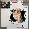 Protective mailer package with decal instructions for easy car window installation.