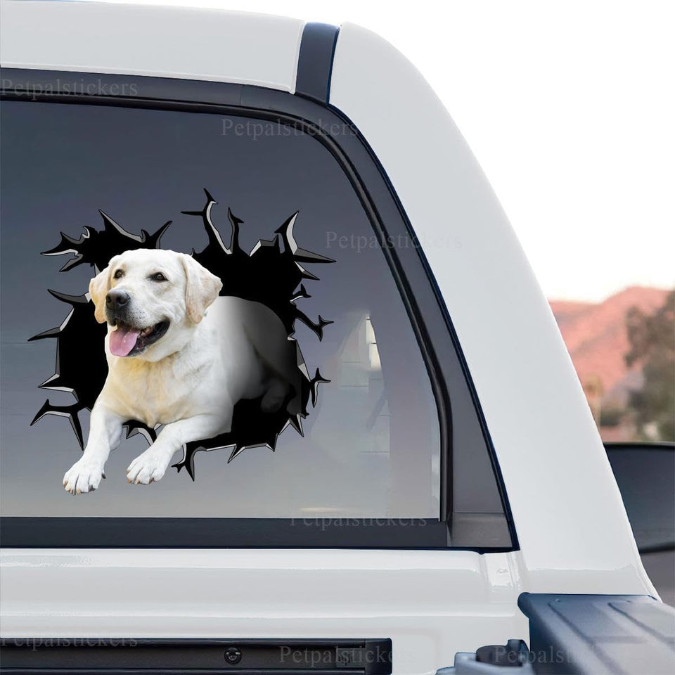 Vibrant Golden Retriever  And Decor standalone product design with gloss finish