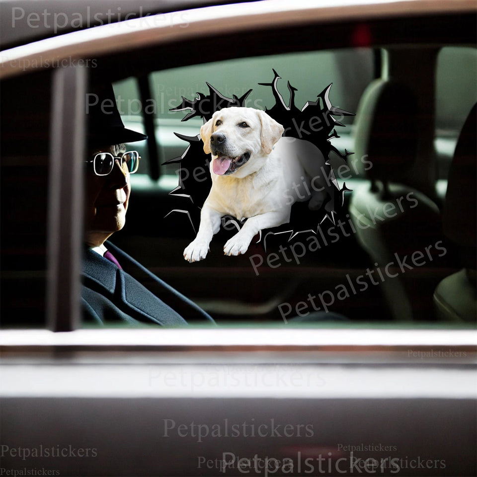 Cute Golden Retriever  And Decor graphic sticker applied to a white car door