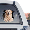 Vibrant Golden Retriever  Beach standalone product design printed on clear vinyl film with gloss finish.