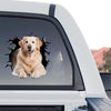 Rear window of a truck showing the Golden Retriever  Beach waterproof decal in full vibrant detail.