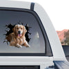 Clear vinyl Golden Retriever graphic sticker displayed proudly on the back window of a truck.