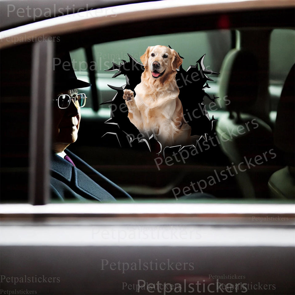 Vibrant Golden Retriever dog decal applied cleanly onto the exterior car door of a white family automobile.