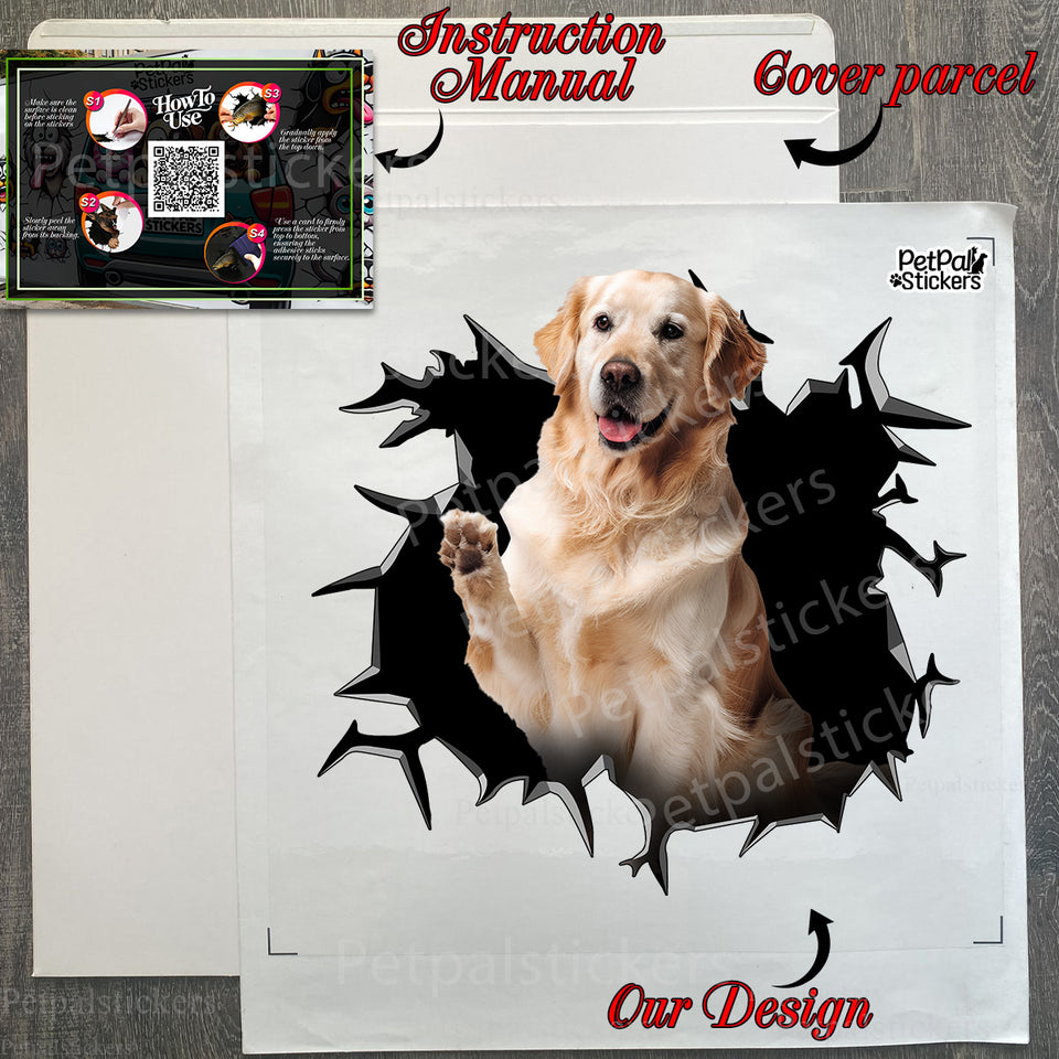Unboxing the Golden Retriever car decal in its protective retail package with application guide included.