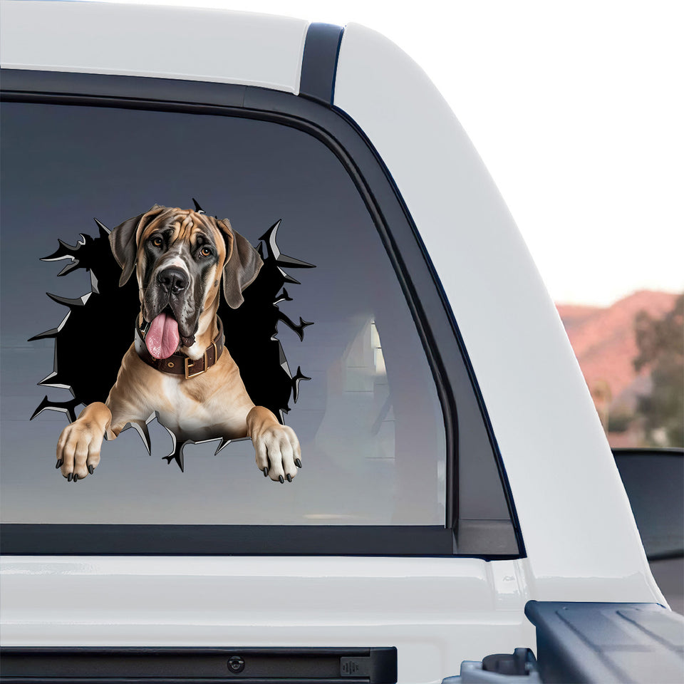 Glossy Great Dane Bumper sticker displayed proudly on the back window of a truck.