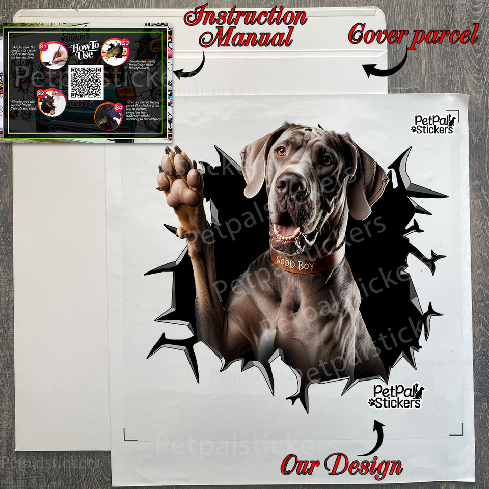 Protective secure package holding a Great Dane car decal alongside clear application instructions.