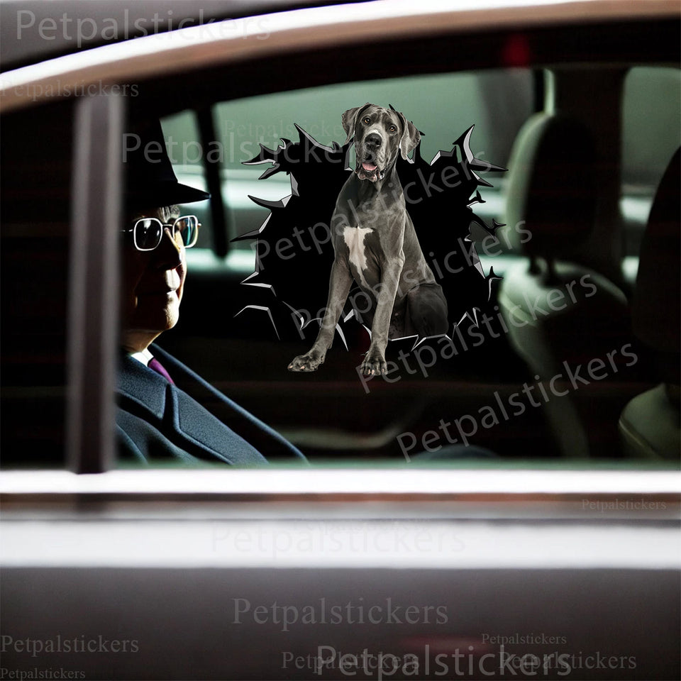 Funny Great Dane graphic decal displayed on an exterior car door.