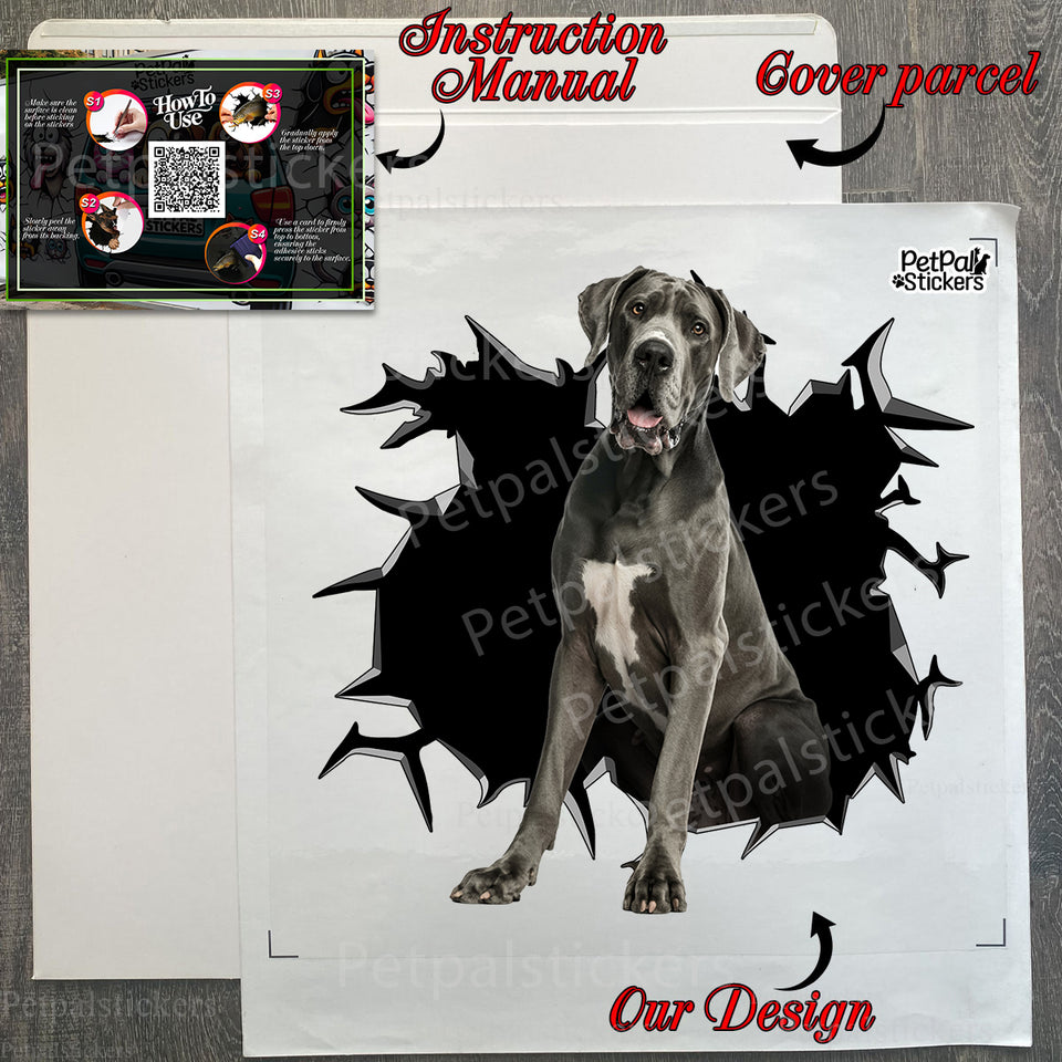 Included application instructions and Great Dane decal unboxed from the package.