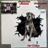 Included application instructions and Great Dane decal unboxed from the package.